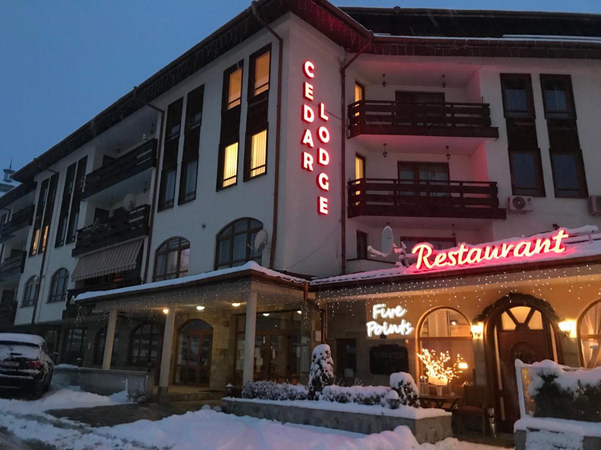 Ski Zone At Gondola, Perfect One Bdrm, Fast Wifi, Netflix, Quiet, Warm Bansko Buitenkant foto
