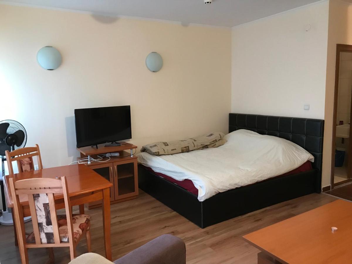 Ski Zone At Gondola, Perfect One Bdrm, Fast Wifi, Netflix, Quiet, Warm Bansko Buitenkant foto