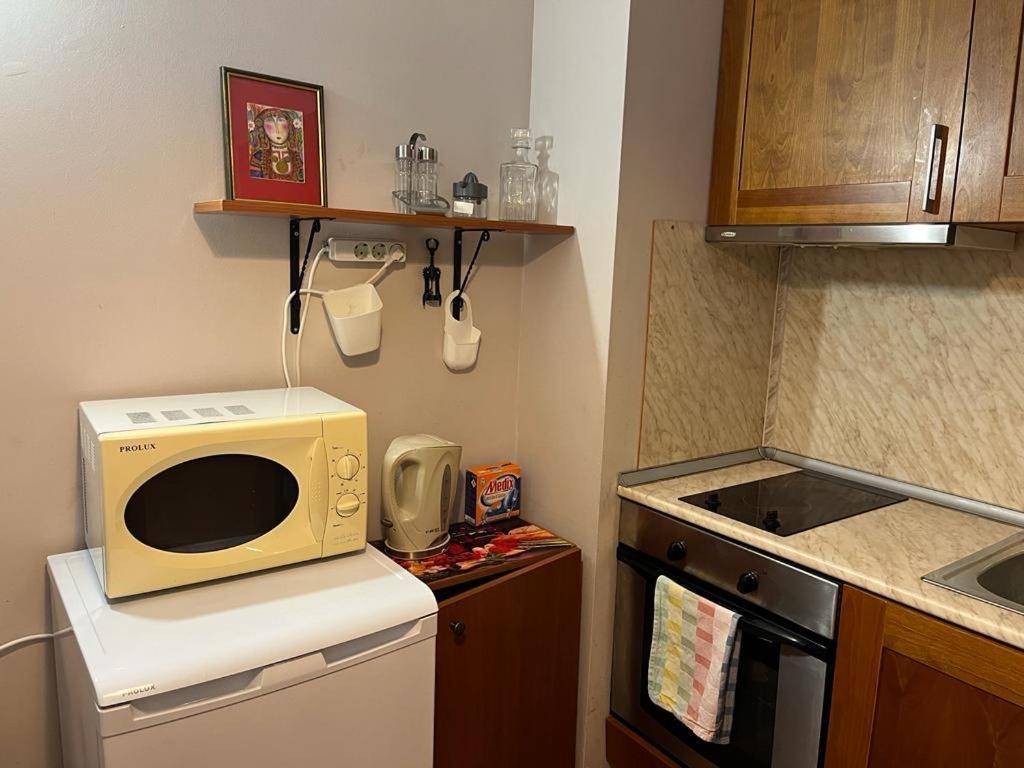 Ski Zone At Gondola, Perfect One Bdrm, Fast Wifi, Netflix, Quiet, Warm Bansko Buitenkant foto